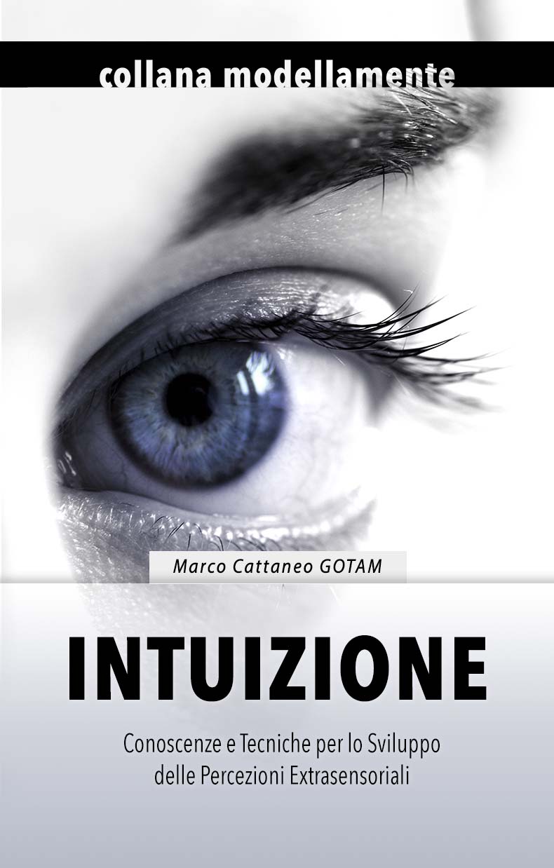 Intuizione